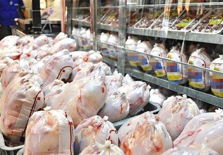 ایران در آستانه ورود به بازارهای بین‌المللی مرغ